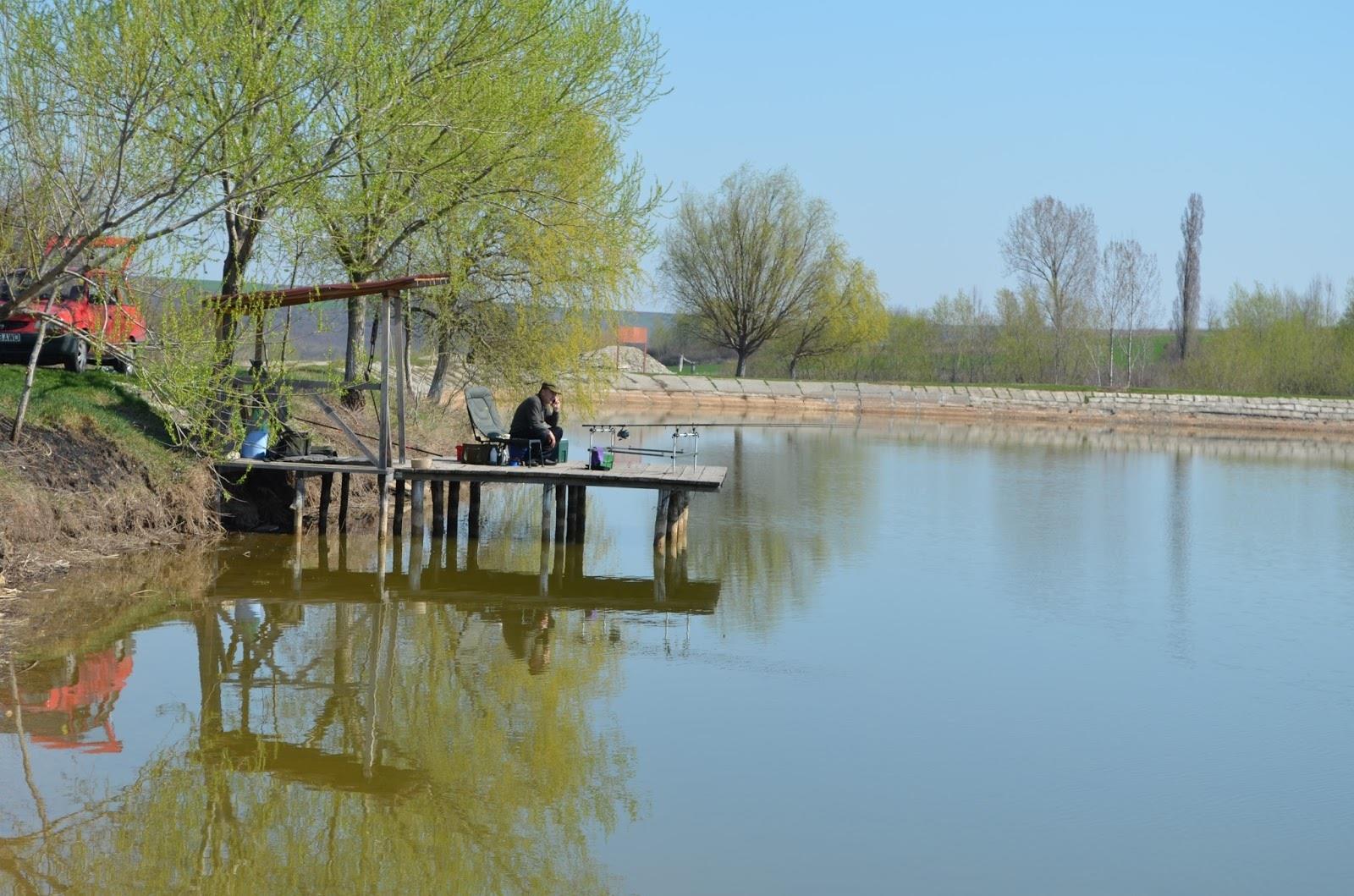 Teslui 2014 - part 2 - image11111111111111111111111111111.jpg